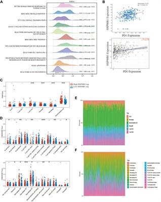 Prognosis and immune infiltration analysis of endoplasmic reticulum stress-related genes in bladder urothelial carcinoma